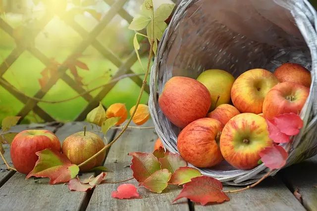 Comment Créer un Apéritif Étonnant avec des Produits Locaux