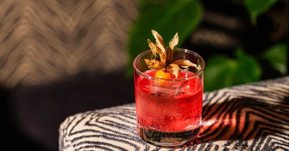 Les Accords Parfaits pour vos Moments Apéritifs