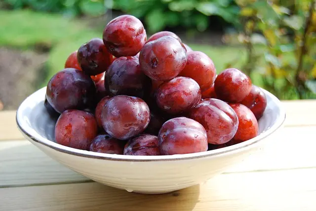Les Meilleures Recettes d'Apéritifs Frais pour Éteindre la Chaleur