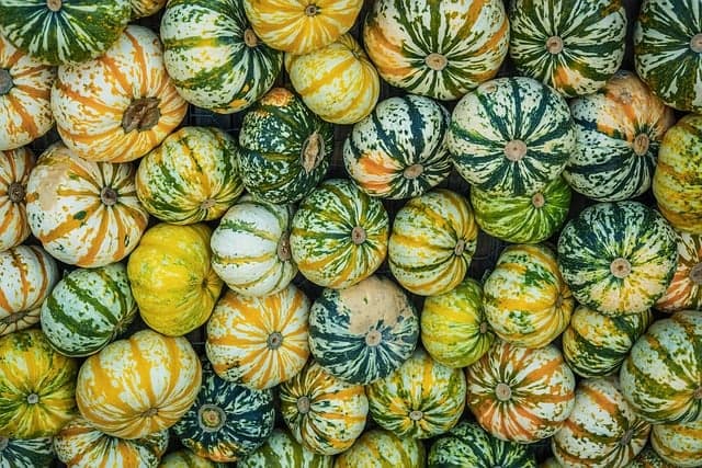 Comment Créer un Apéritif Équilibré en Saveurs et Textures